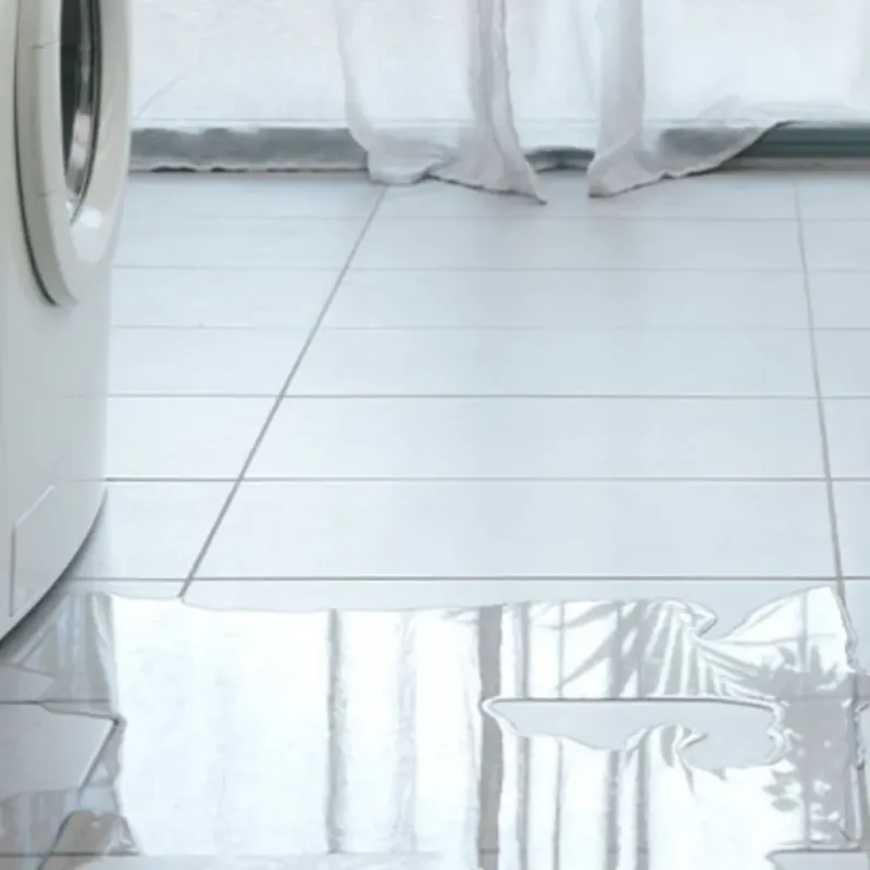 Appliance Leak Cleanup in Rankin, TX
