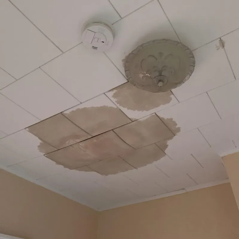 Ceiling Water Damage Repair in Rankin, TX