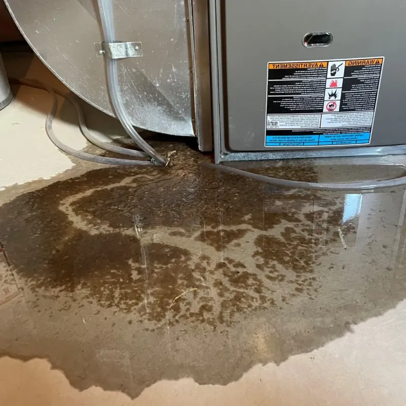 Pipe Burst and Leak Restoration in Rankin, TX