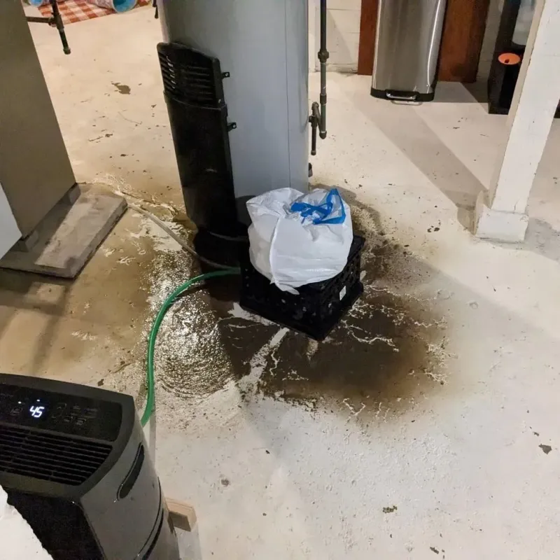 Sewage Backup Cleanup Service in Rankin, TX